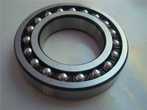 ball bearing 6305 2RS C4 Brands